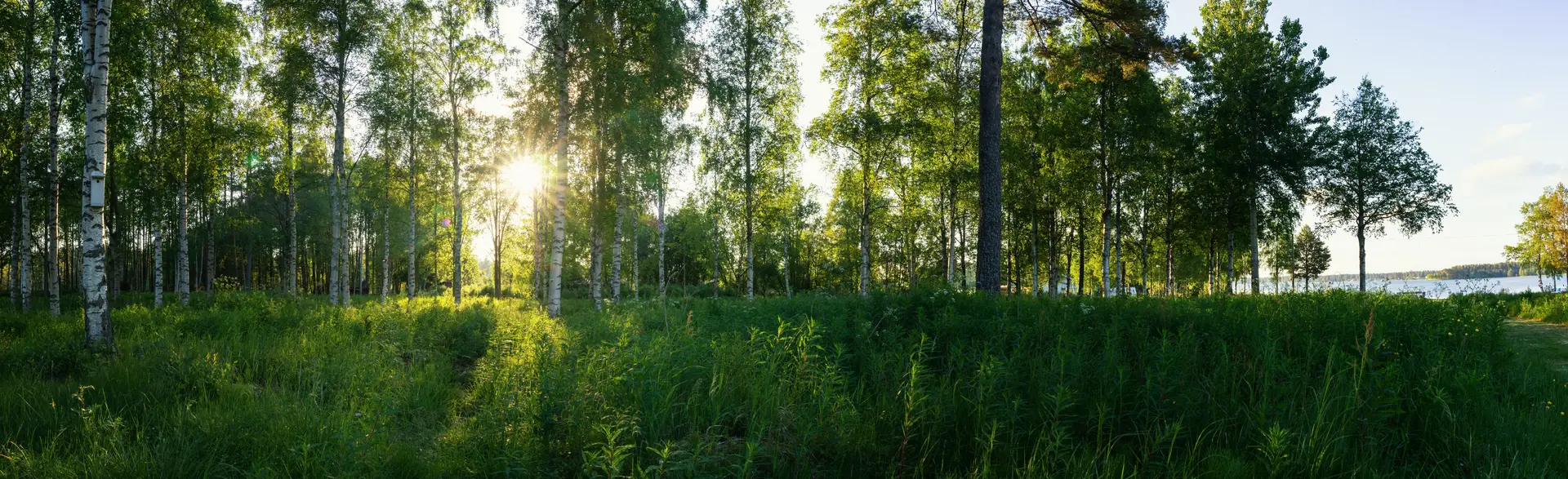 Byta FTX-aggregat Vetlanda
